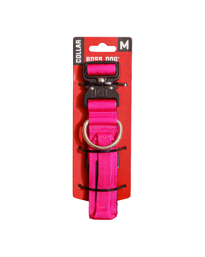 BOSS DOG BRAND, INC. - Wholesale Pet Collar - Dog - Boss Dog Collar39