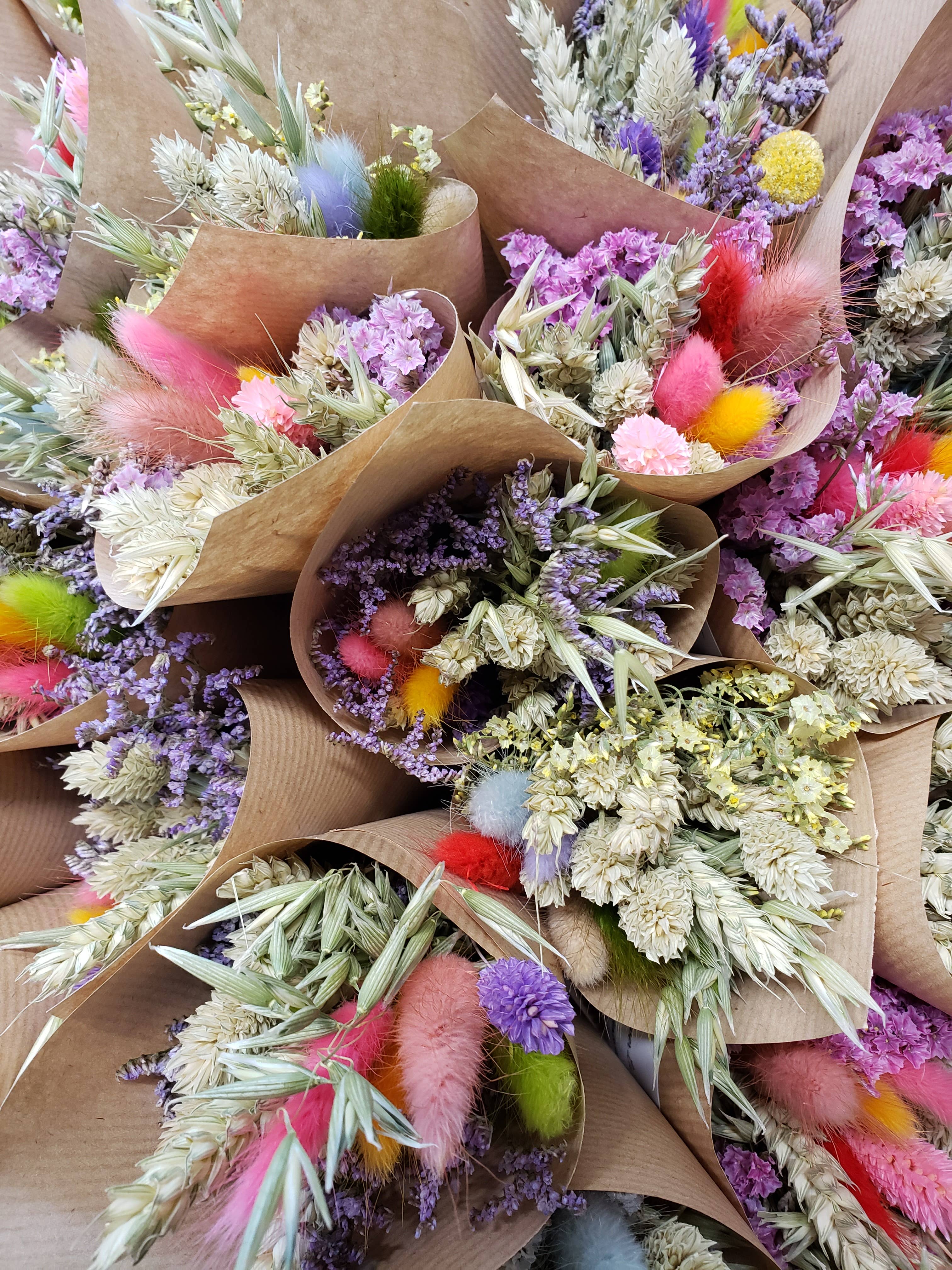 Flower La Vita Limited – wholesale Dried/pressed flowers – Colourful Dried Mini Flower Bunches1
