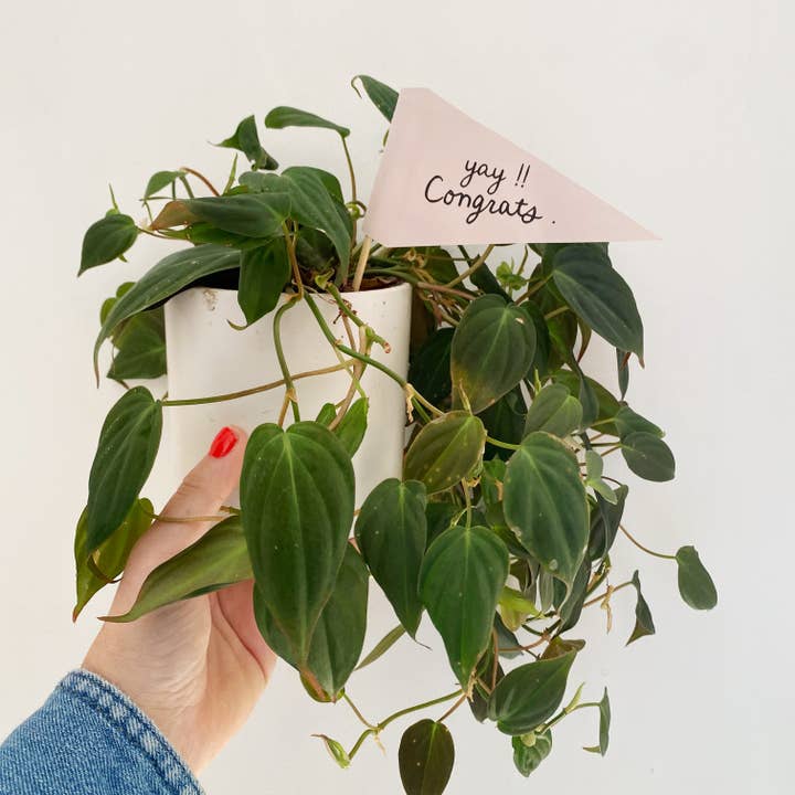 Handpicked Goods - Wholesale Garden/Lawn Stake - Yay, Congrats