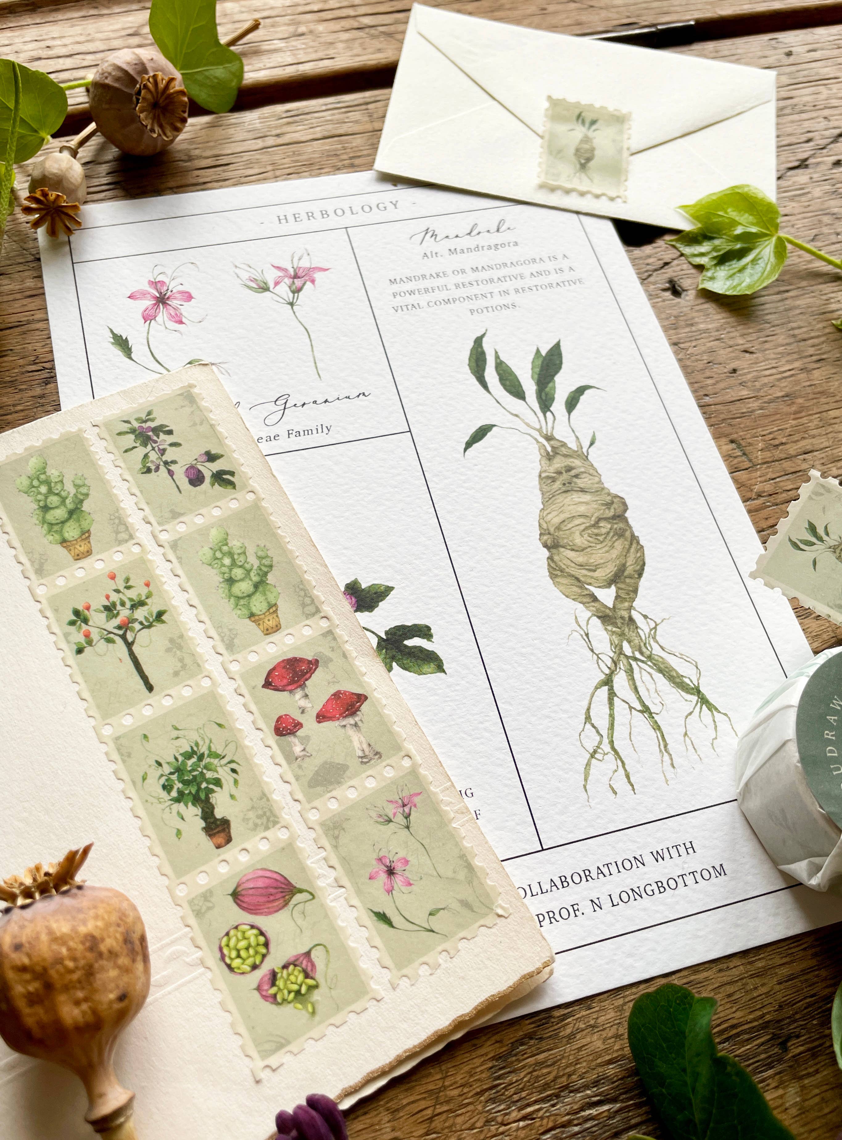Georgiou Draws - Wholesale Washi Tape - Magical Botanical Herbology Stamp Washi Tape4