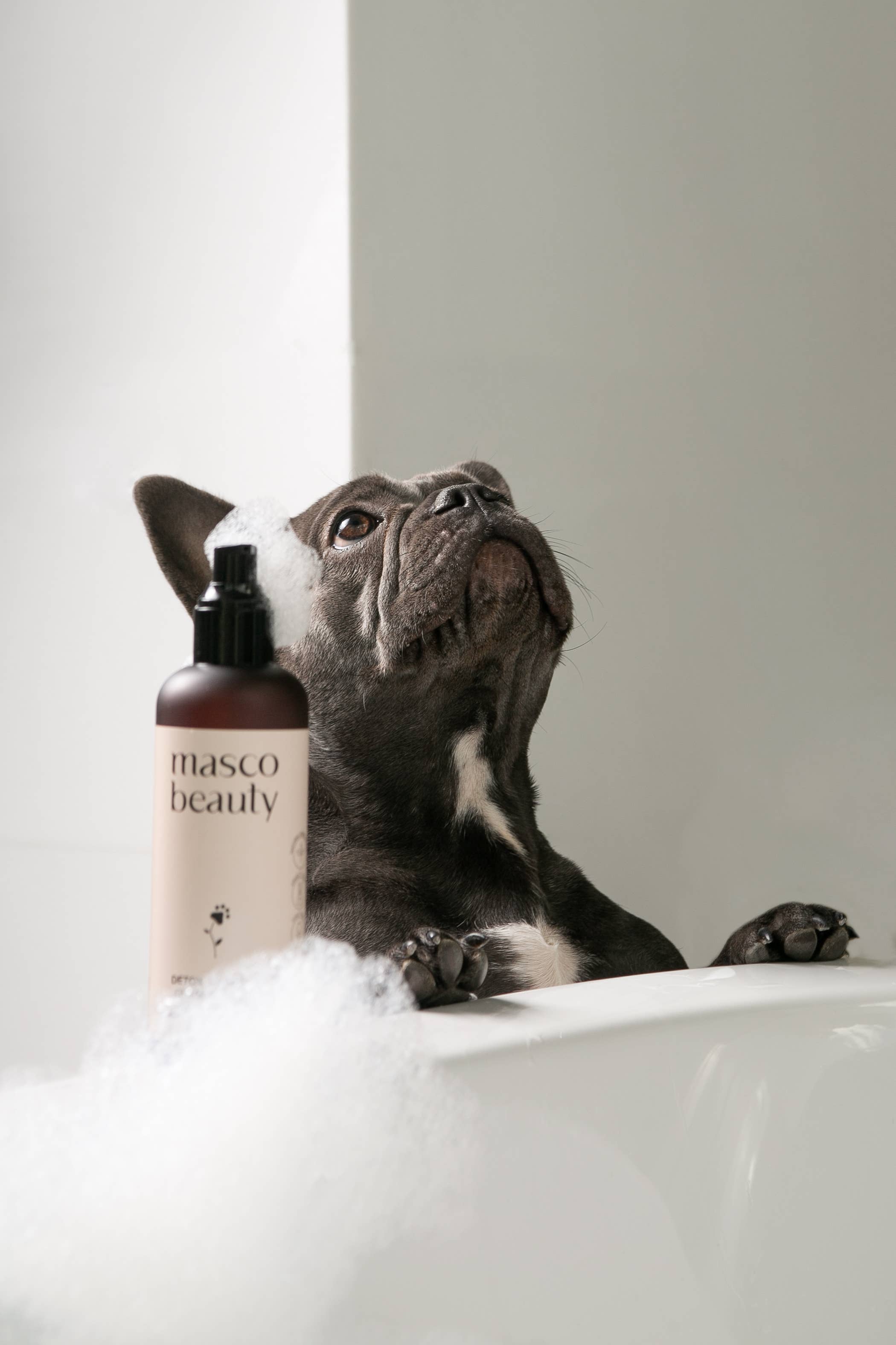 Masco Beauty - Wholesale Pet Soap - Dog - Purifying Dog Shampoo – Natural Skincare for Sensitive Skin1