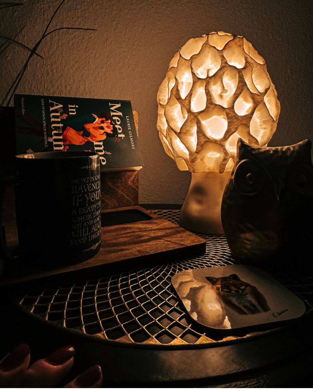 Roomberry - Wholesale Accent/Desk Lamp - Morel Mushroom Lamp - natural mushroom design, soft evening light9