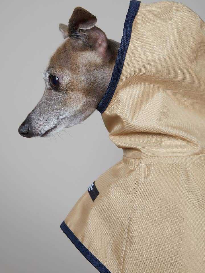 Italiensk vinthund/whippet sand vattentät huva för wholesale av The Striped Dog