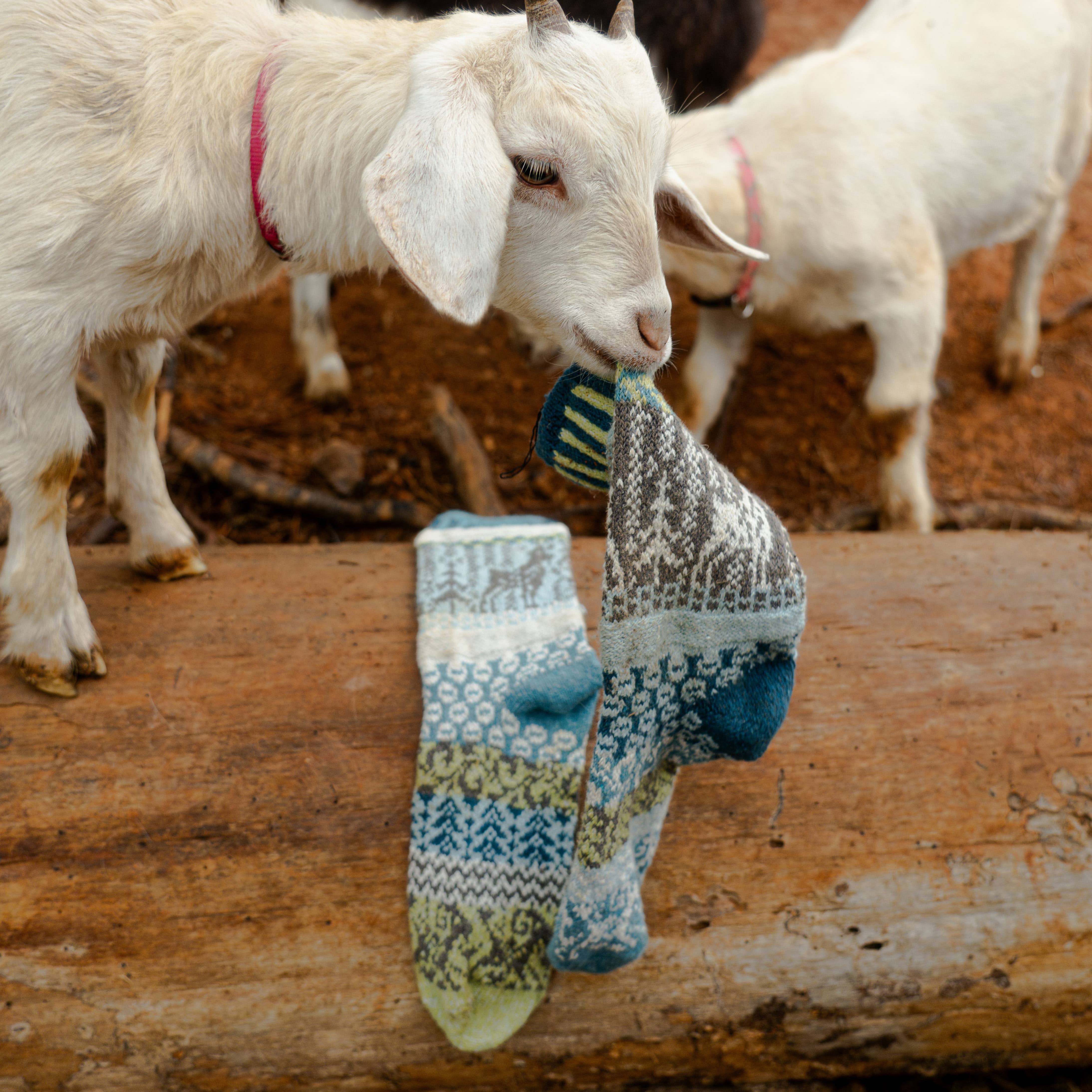 Solmate Socks - Wholesale Socks - Unisex - Goat Crew Socks | Socks That Give Back to National Parks2