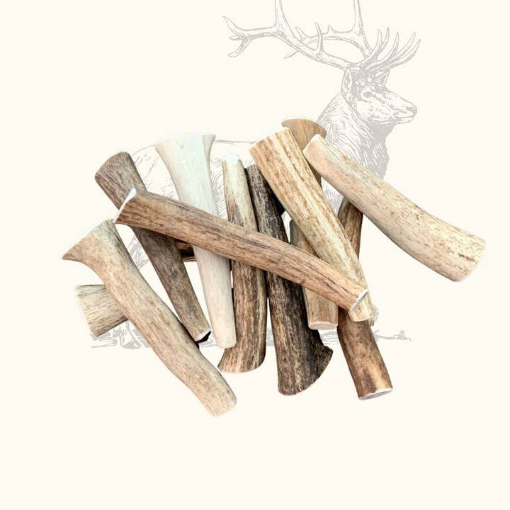 Truffe Délice - Wholesale Pet Chew Toy - Dog - Antler dog