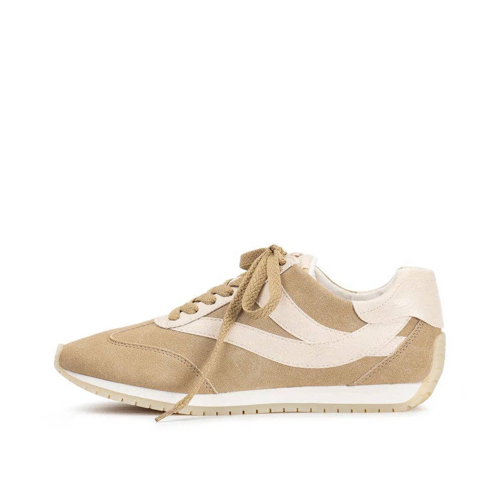 Mars Sky Shoes Wholesale - Wholesale Lifestyle Sneakers - Women's - Yellow Box AMBROSA Women Color Contrast Low Top Sneakers-12 Pairs Pack-54.45/Pair2