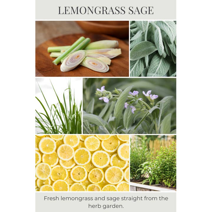 Eco Candle Company - Wholesale Jar/Filled Candle - 18oz eco candle LEMONGRASS SAGE