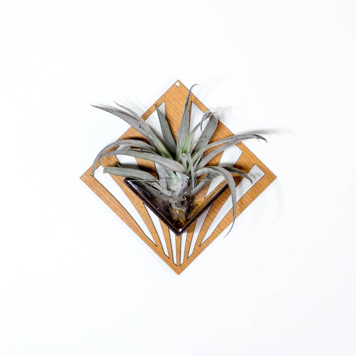 LIGHT RAZOR DESIGN STUDIO - Wholesale Wall planter - Air Plant Holder / Quadrate Wall Hanging Planter 255