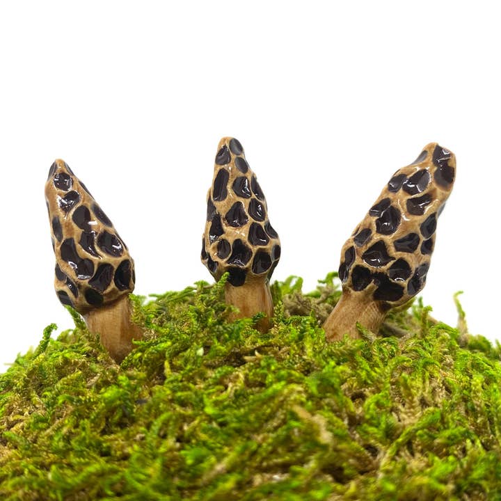 Miniature Morel Mushrooms for wholesale by Handpicked Ceramics