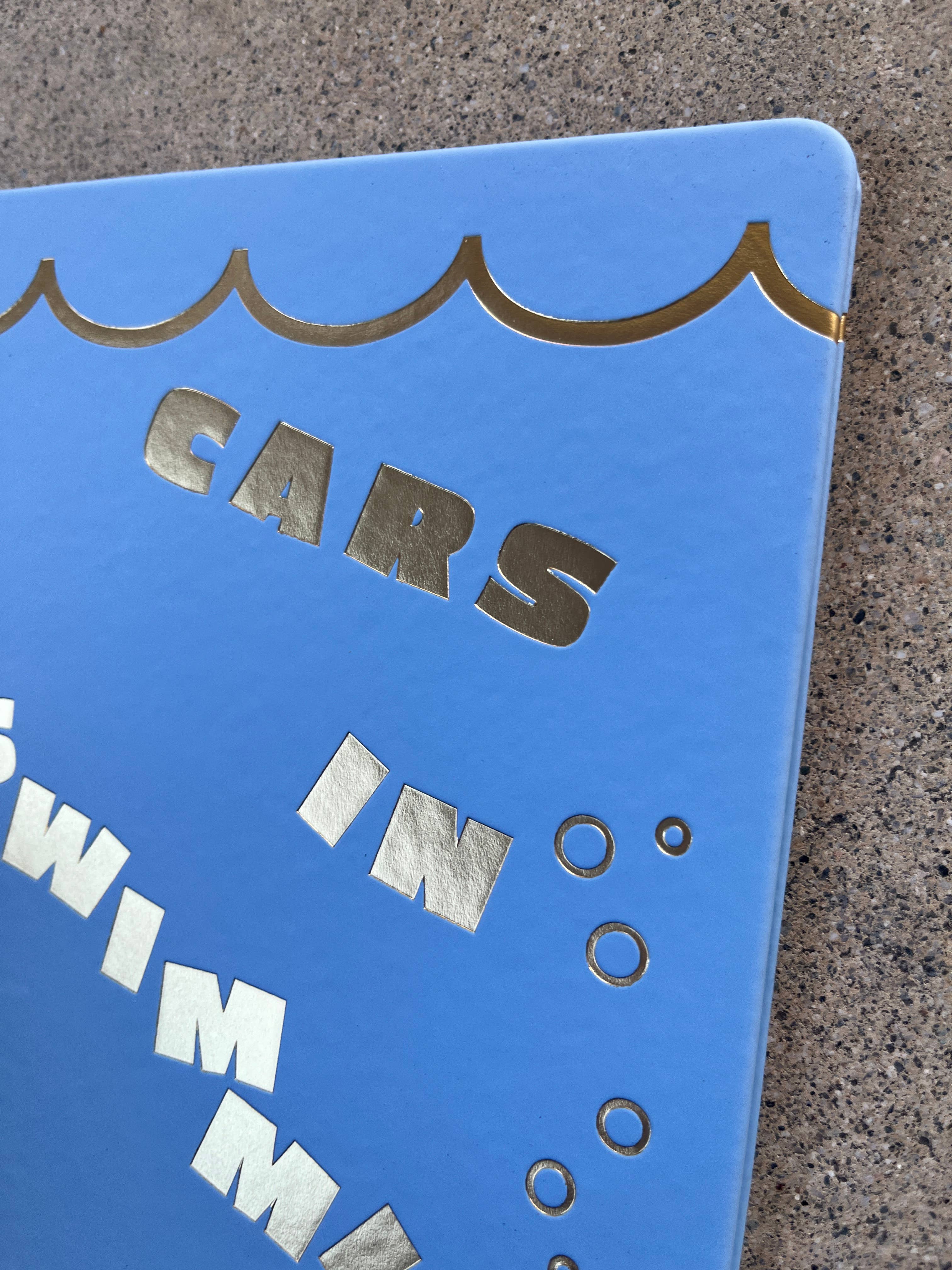 The Rubbish Rubbish - Wholesale Display Book - Cars In Swimming Pools HC Zine1