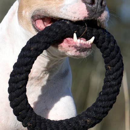 Ringo Ring for wholesale by LABONI - Volentis GmbH