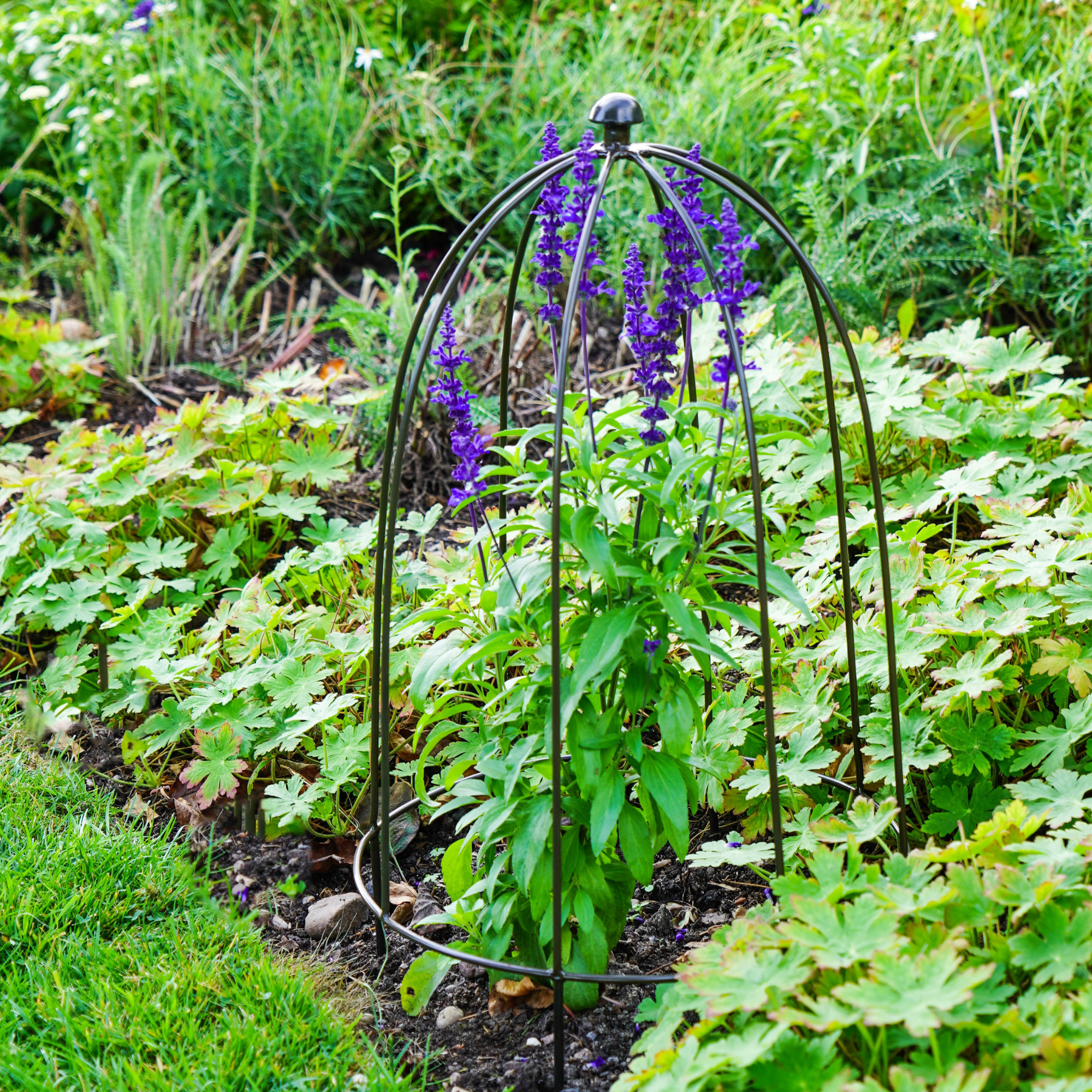 Ivyline International - Wholesale Planting Net/Cover - Outdoor Plant Support H50cm W26cm1