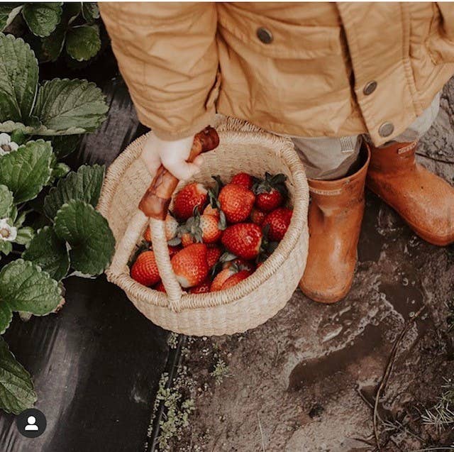 Jungle Direct - Wholesale Basket - Natural Round basket3