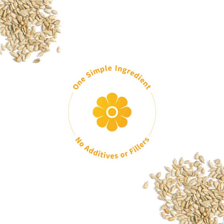Sprout Living - Wholesale Protein/Superfood Powder - Simple Protein | Organic Sunflower Seed Protein, DB