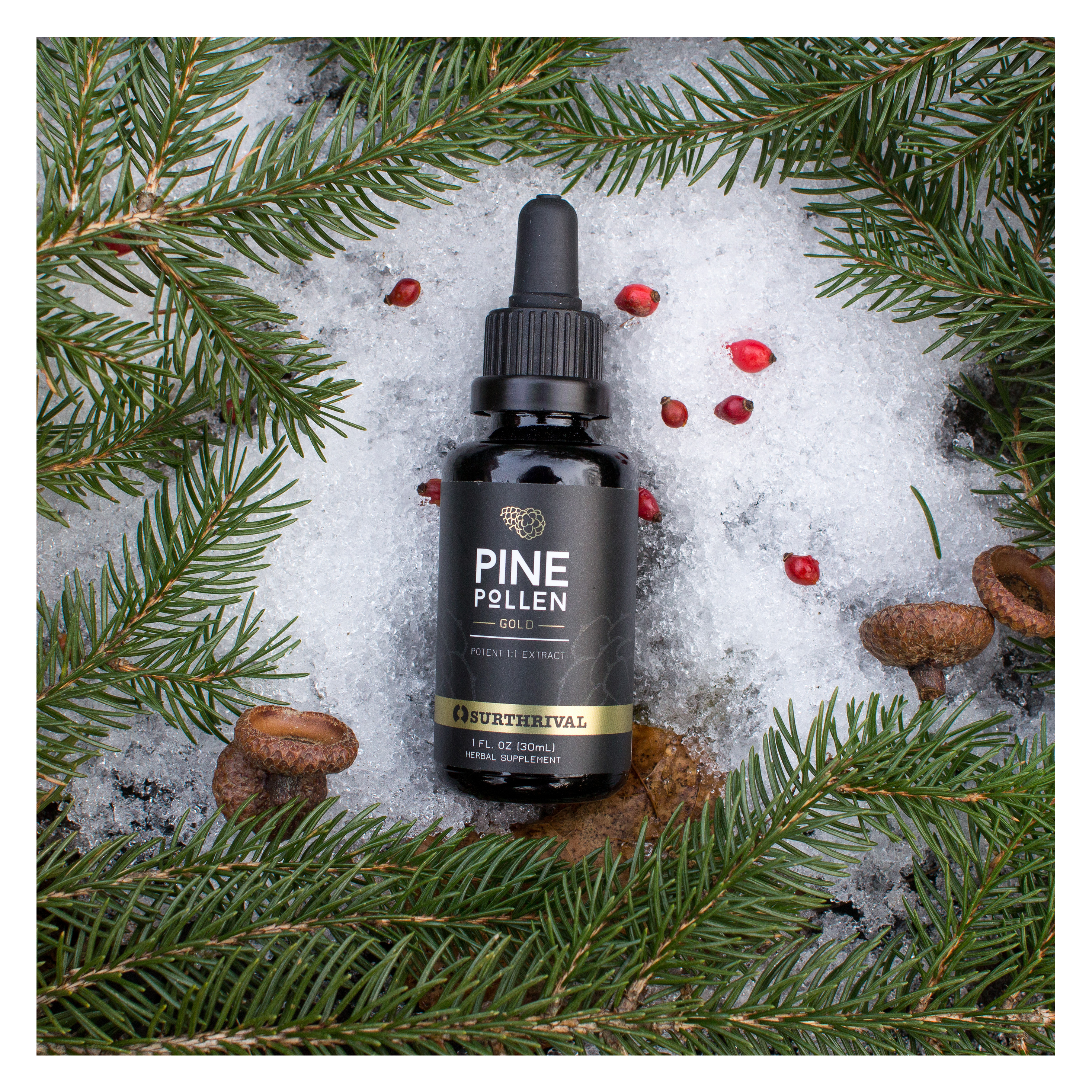 Surthrival - Wholesale Oral Supplement/Vitamin - Pine Pollen Gold1