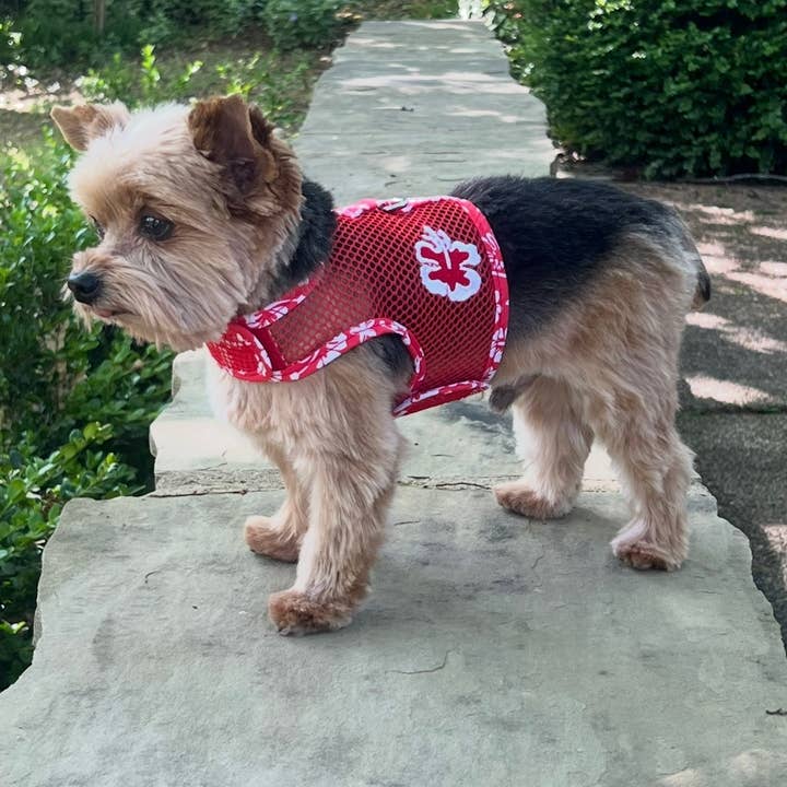 Doggie Design - Wholesale Pet harness – Dog - Cool Mesh Dog Harness - Hawaiian Hibiscus Red2