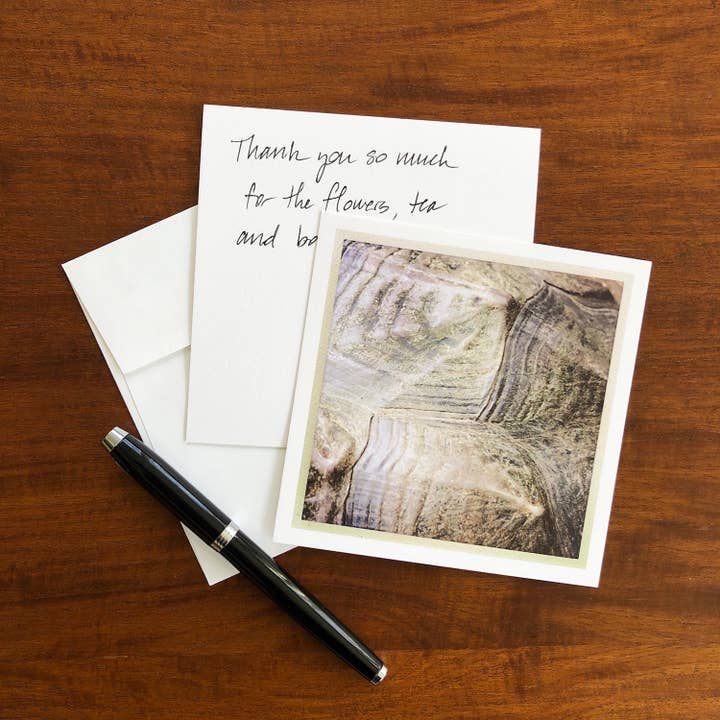 Tartaruga em branco cartão por atacado de Whispered Light Greeting Cards