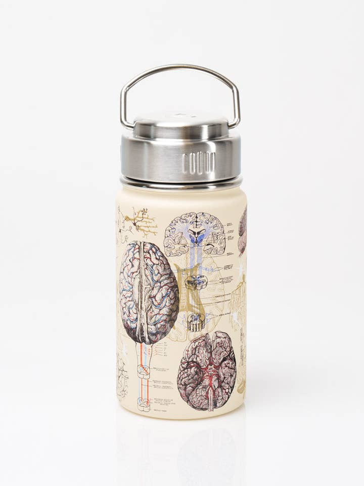 Brain & Neuroscience 12 oz Steel Bottle (Case of 4) for wholesale by Cognitive Surplus
