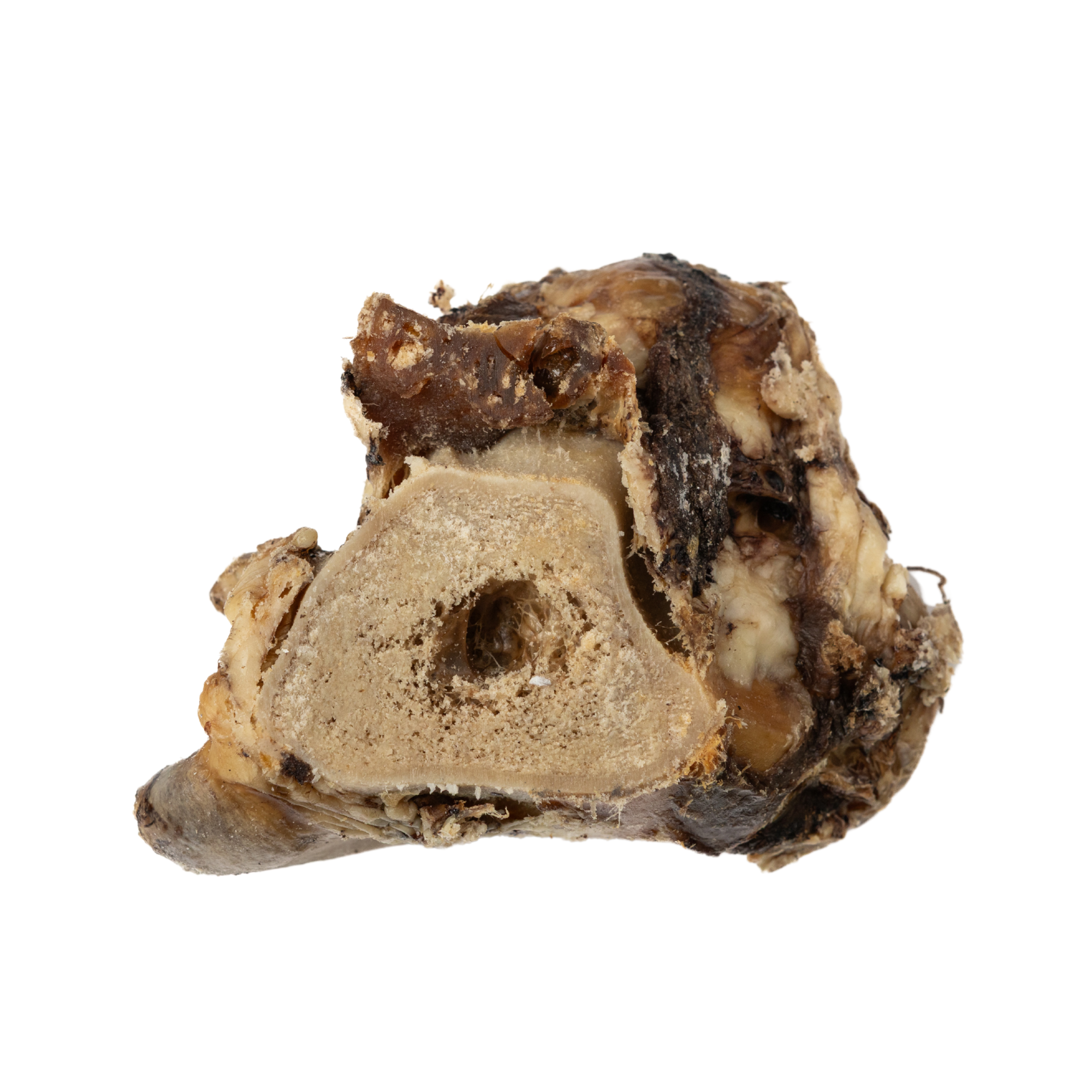 Jojo Modern Pets - Wholesale Pet Treats - Dog - Beef Saddle Knuckle | All-Natural Dog Chew Treat3