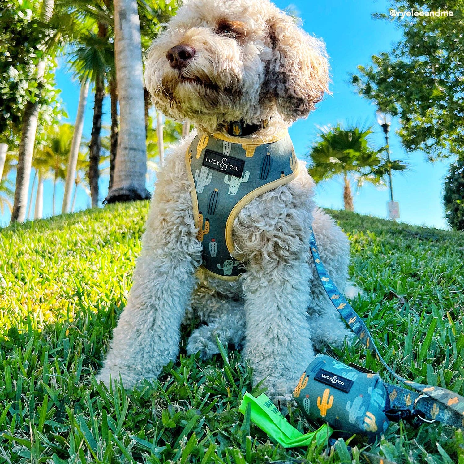 Lucy & Co. - Wholesale Pet Poop Bag Dispenser - Looking Sharp Poop Bag Holder1