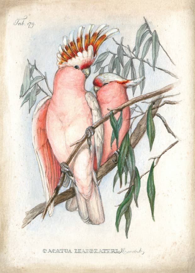 Bomo Art Budapest - Wholesale Everyday Greeting Card - Greeting Card + Envelope12