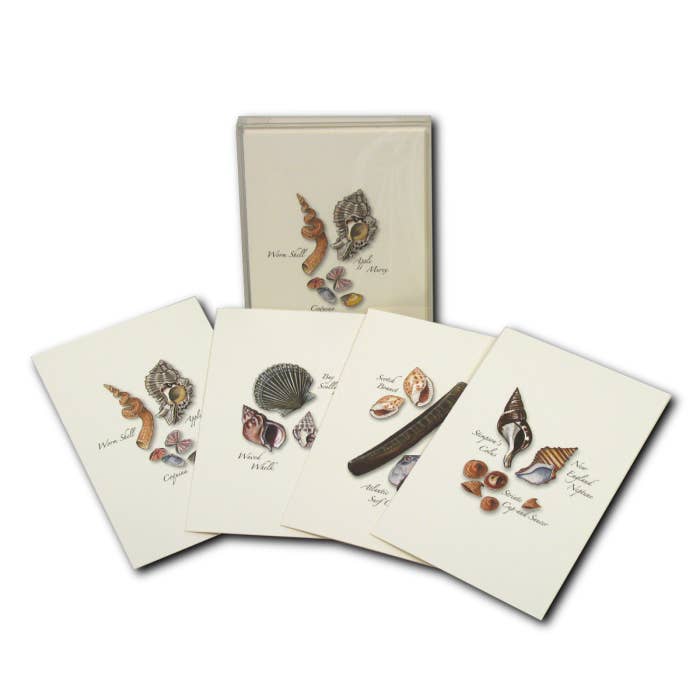 Earth Sky + Water - Wholesale Stationery/Notecard Set - Seashell Assortment II5