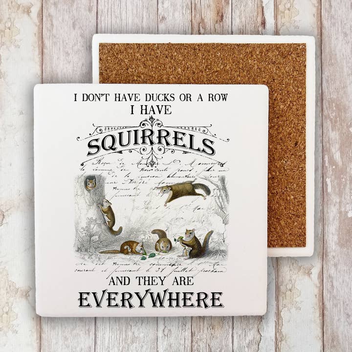Jeg har ikke ænder Jeg har egern Stone Coaster for engroshandel hos Avery Lane Gifts
