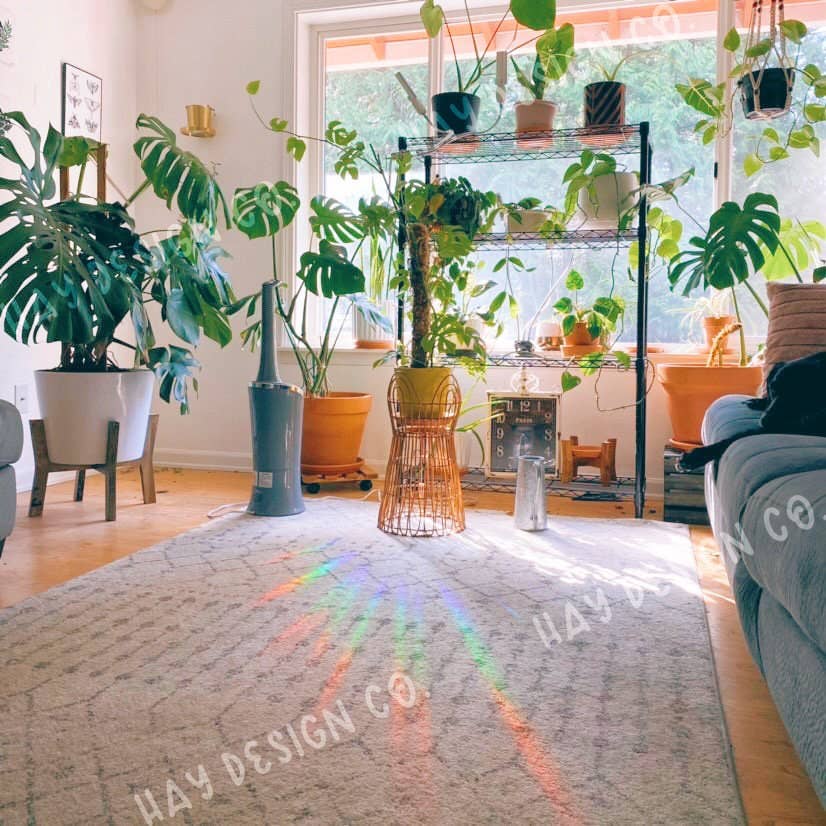 Hay Design Co. – Engroshandel Solfanger – Monarch Butterfly Suncatcher1