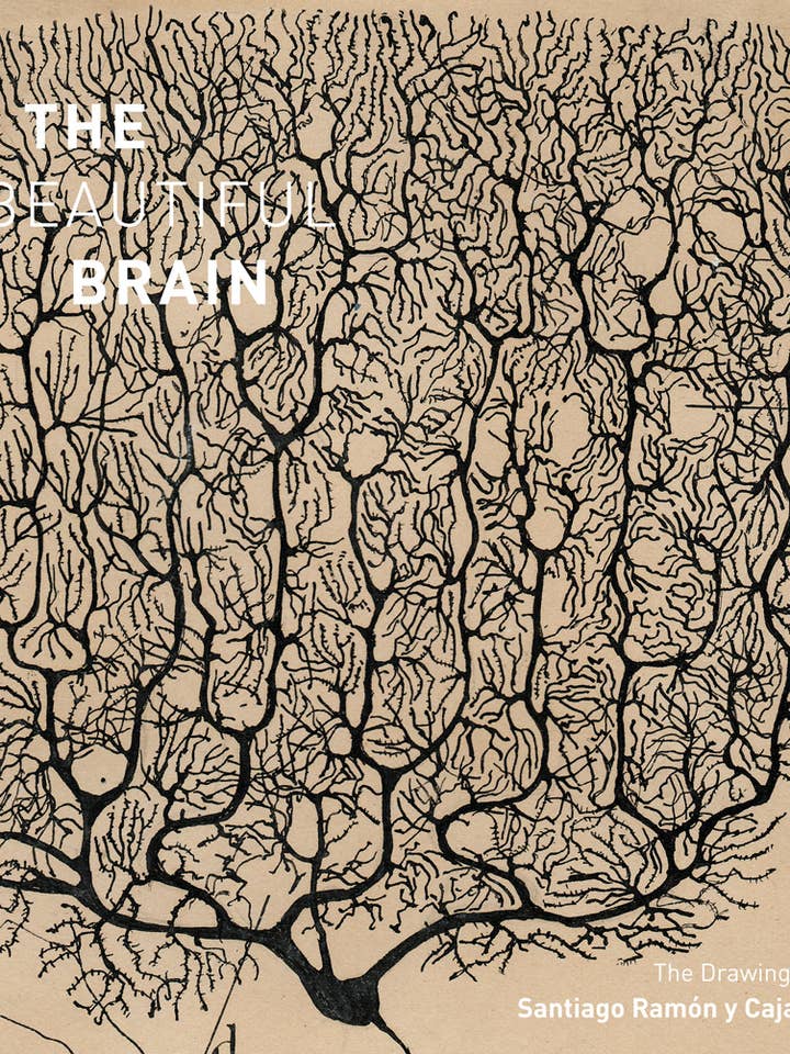 The Beautiful Brain: The Drawings of Santiago Ramon y Cajal for wholesale by Abrams