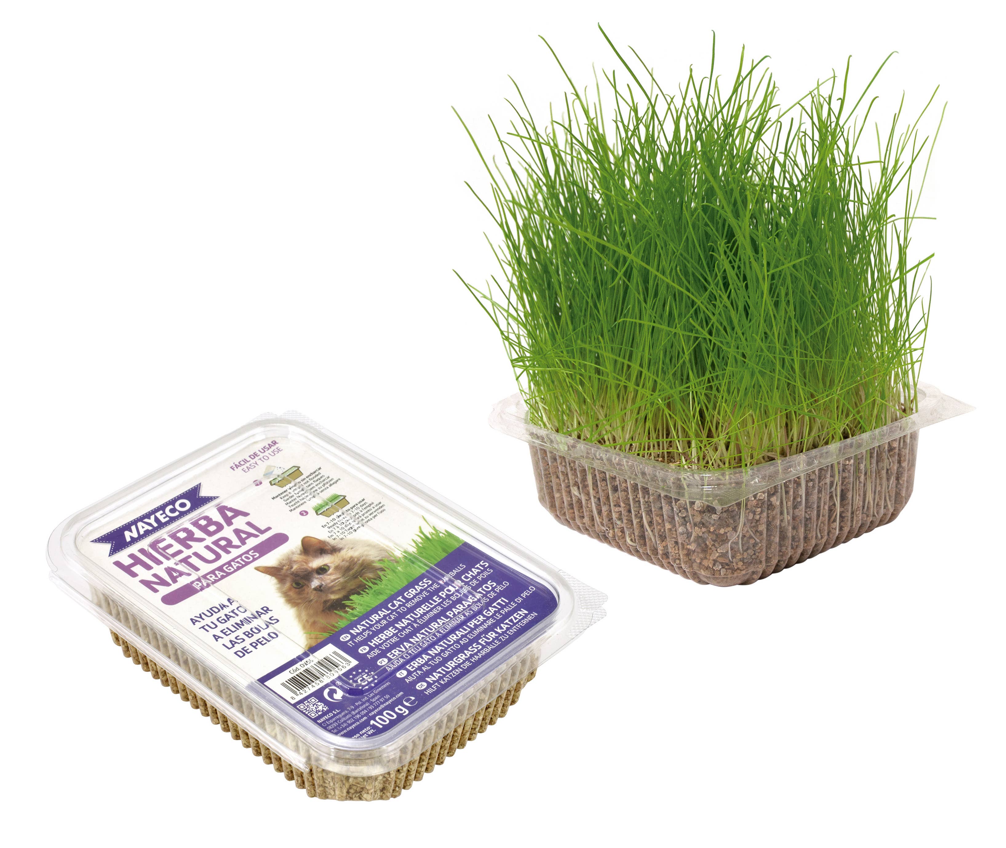 Nayeco - Wholesale Pet Toy - Cat - Natural Grass For Cats Various Cats2