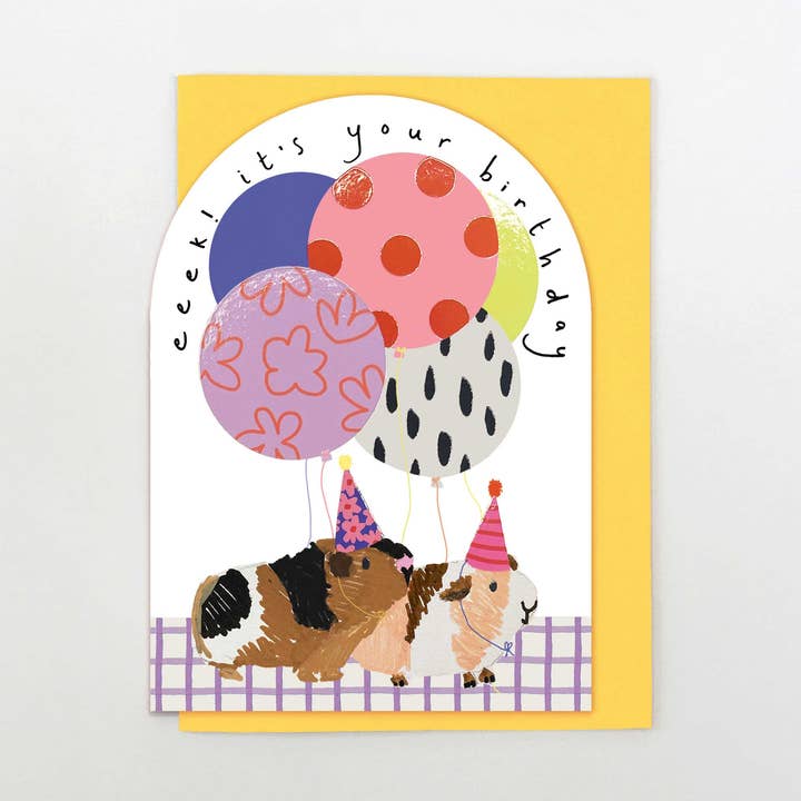 RI07 - Birthday Guinea Pigs for wholesale by Stop the Clock Design
