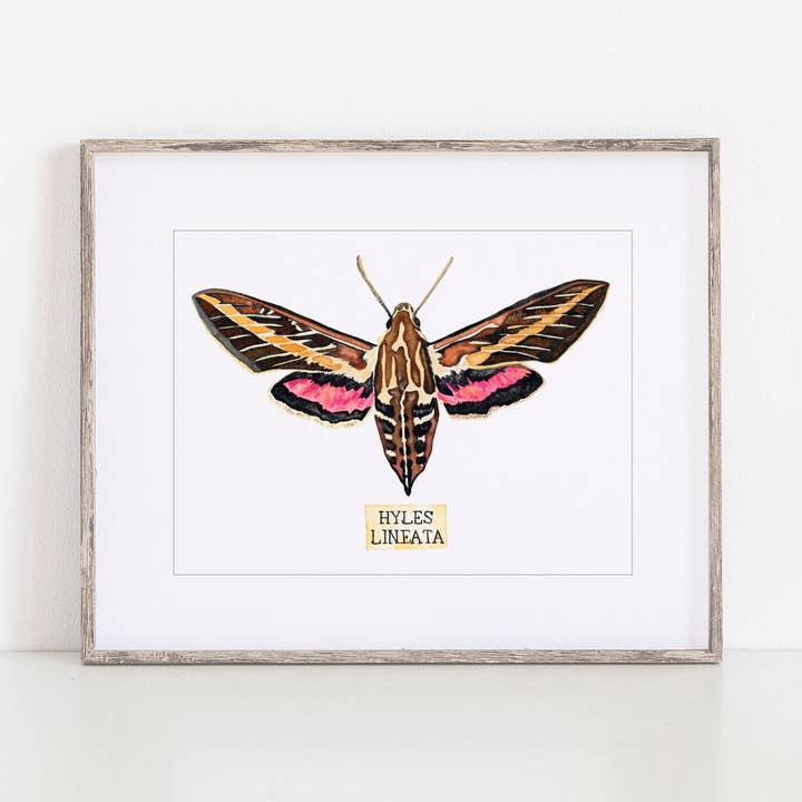 Insect Taxidermy Art Print Of Insect Specimen... for wholesale by Candace Fincher