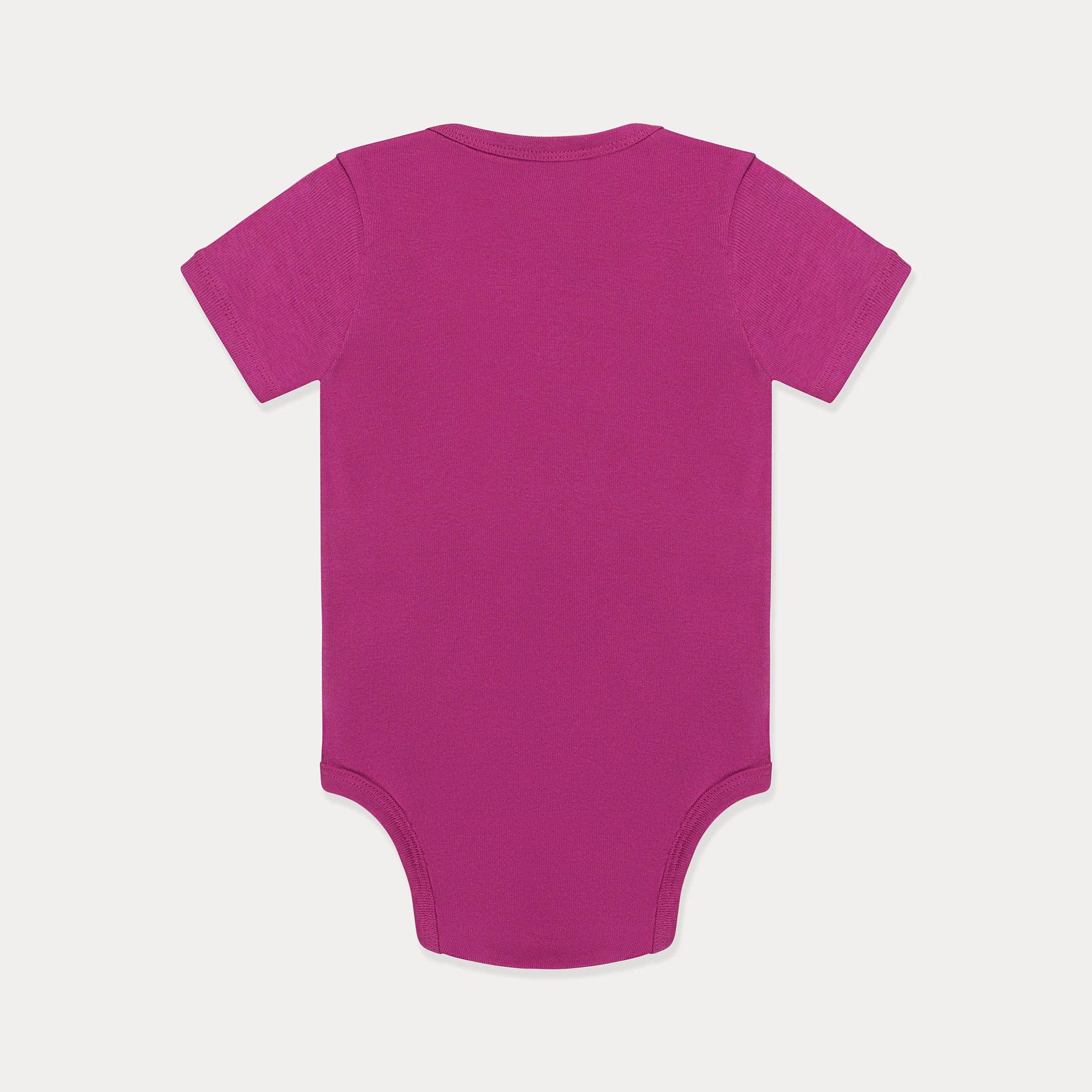 Mini Wardrobes - Wholesale Bodysuit (Non-Footed) - Baby - Infant Bodysuit, Soft Cotton - Rose Violet, Ambrosia Green1