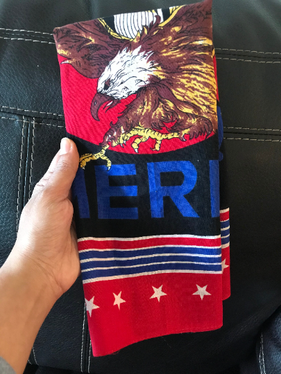 Magnifique Hearts - Wholesale Bandana - Unisex - Last Act Wild America Biker Bandana, Shows American Eagle1