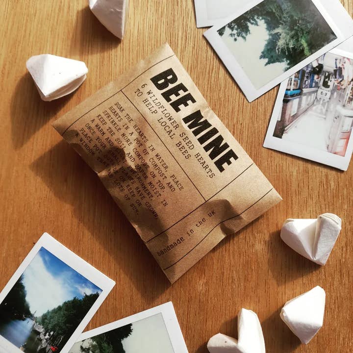 DSB Gifts – wholesale Party gift – Wildflower seed origami heart 'bee mine' envelope3