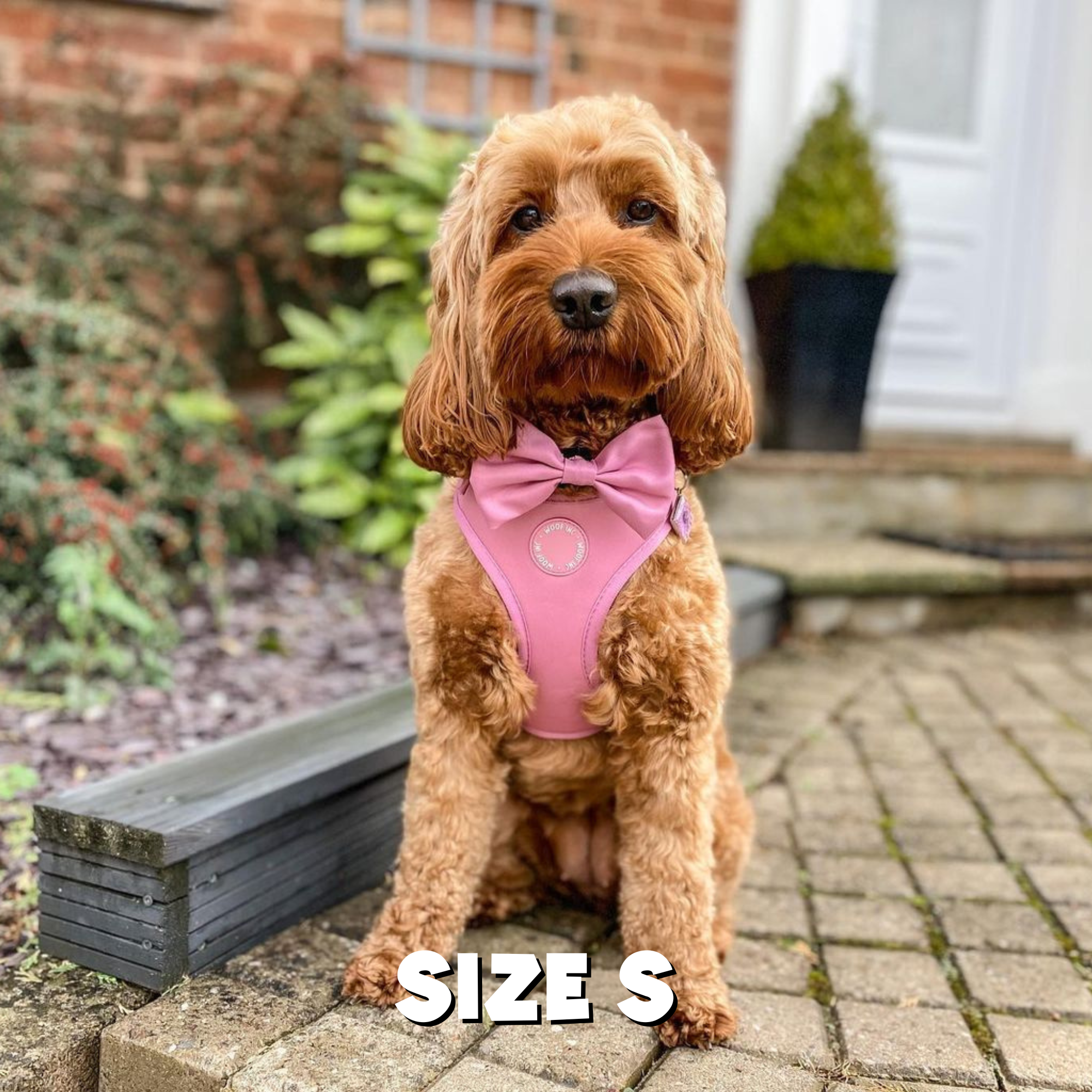 WOOF INC - Wholesale Pet Harness - Dog - Dusty Pink Adjustable Dog Harness10