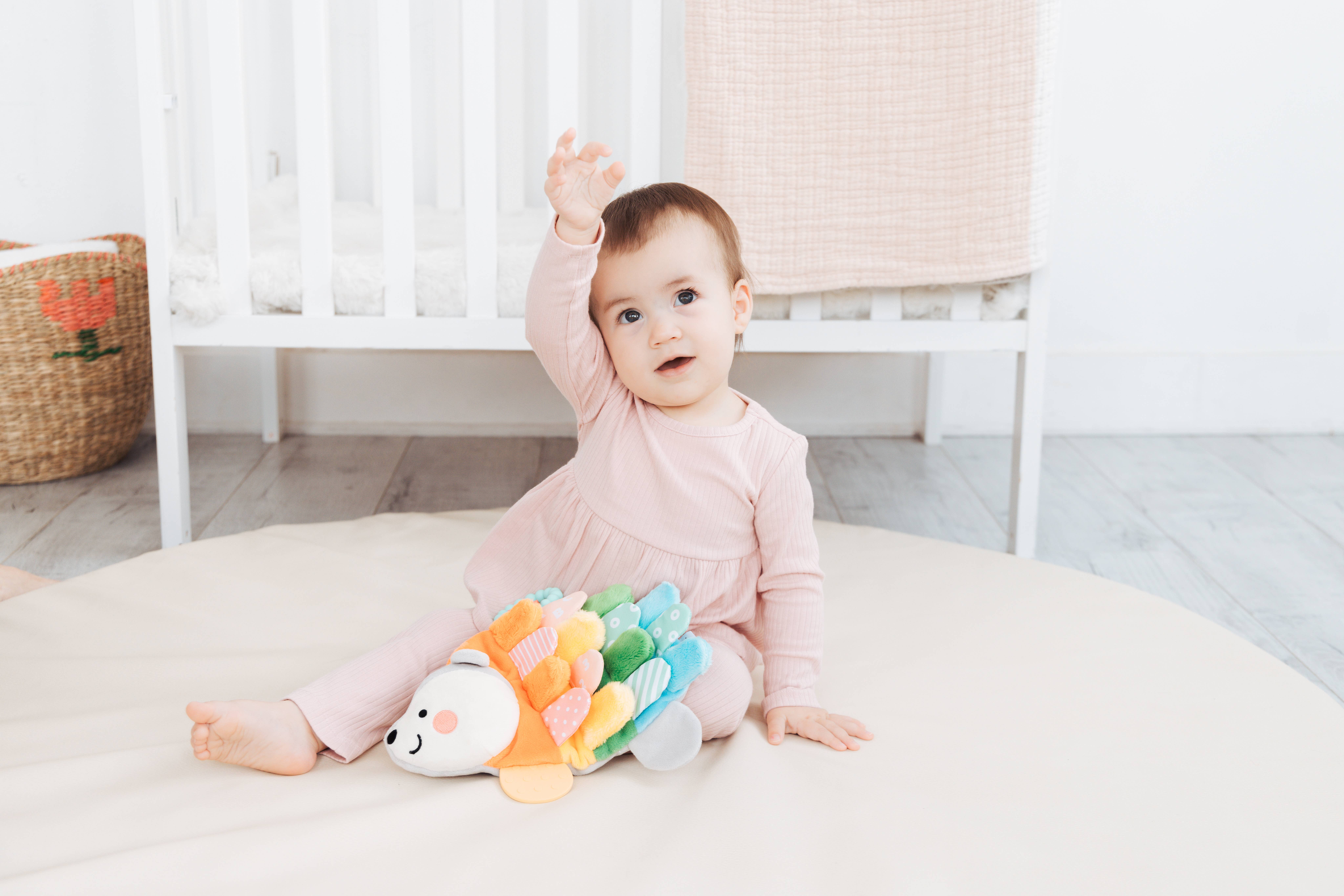 Pearhead - Vente Peluche – enfant et bébé - Jouet Sensoriel et Éducatif Câlin Hedgie6