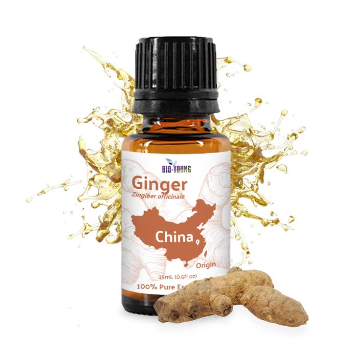 Ginger Essential Oils -100% Pure - Farm-Direct Sourcing for wholesale by Nature Packaged