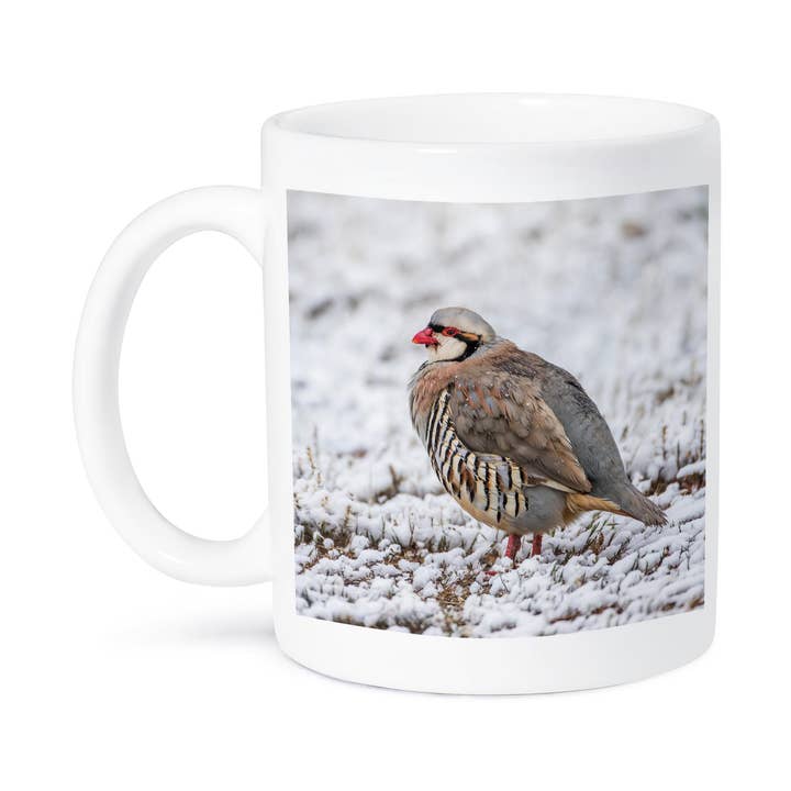 3dRose - Vendita all'ingrosso Tazza - 3dRose, Utah, Antelope Island State Park, Chukar si trova nella neve., Tazza8