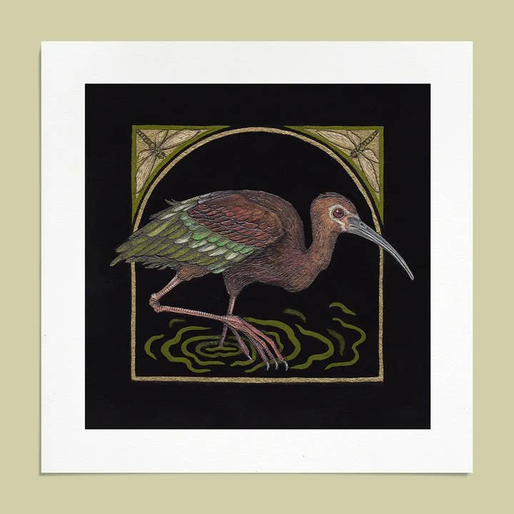 6x6" Mini Fine Art Giclee Print: White-faced Ibis for wholesale by Mustard Beetle