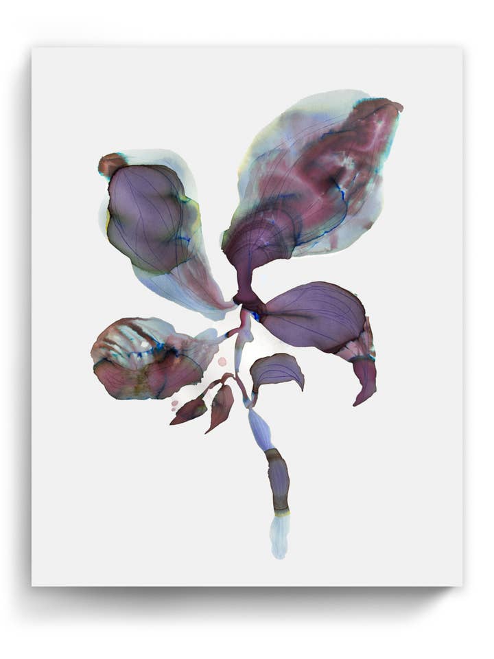 Stampe d'Arte Botanica da Parete Astratte Flora Pianta Acquerello Carta & Tela | Orpha 3 per la vendita all'ingrosso da parte di Marta Spendowska