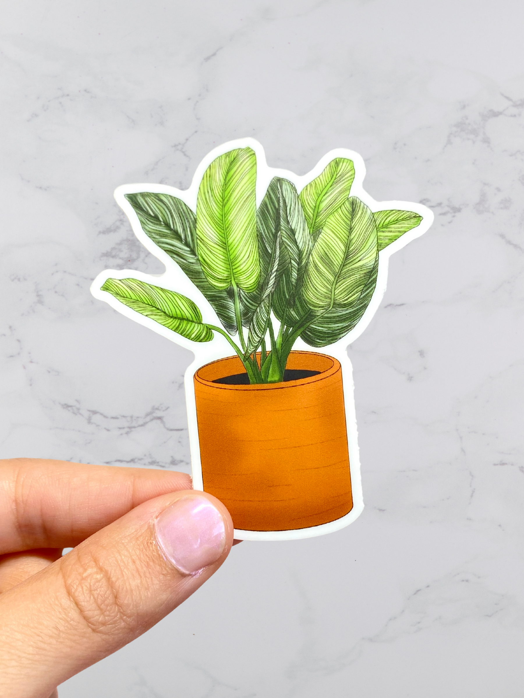 Wholesale Plant Whisperer Sticker, Funny Plant Stickers for your store -  Faire