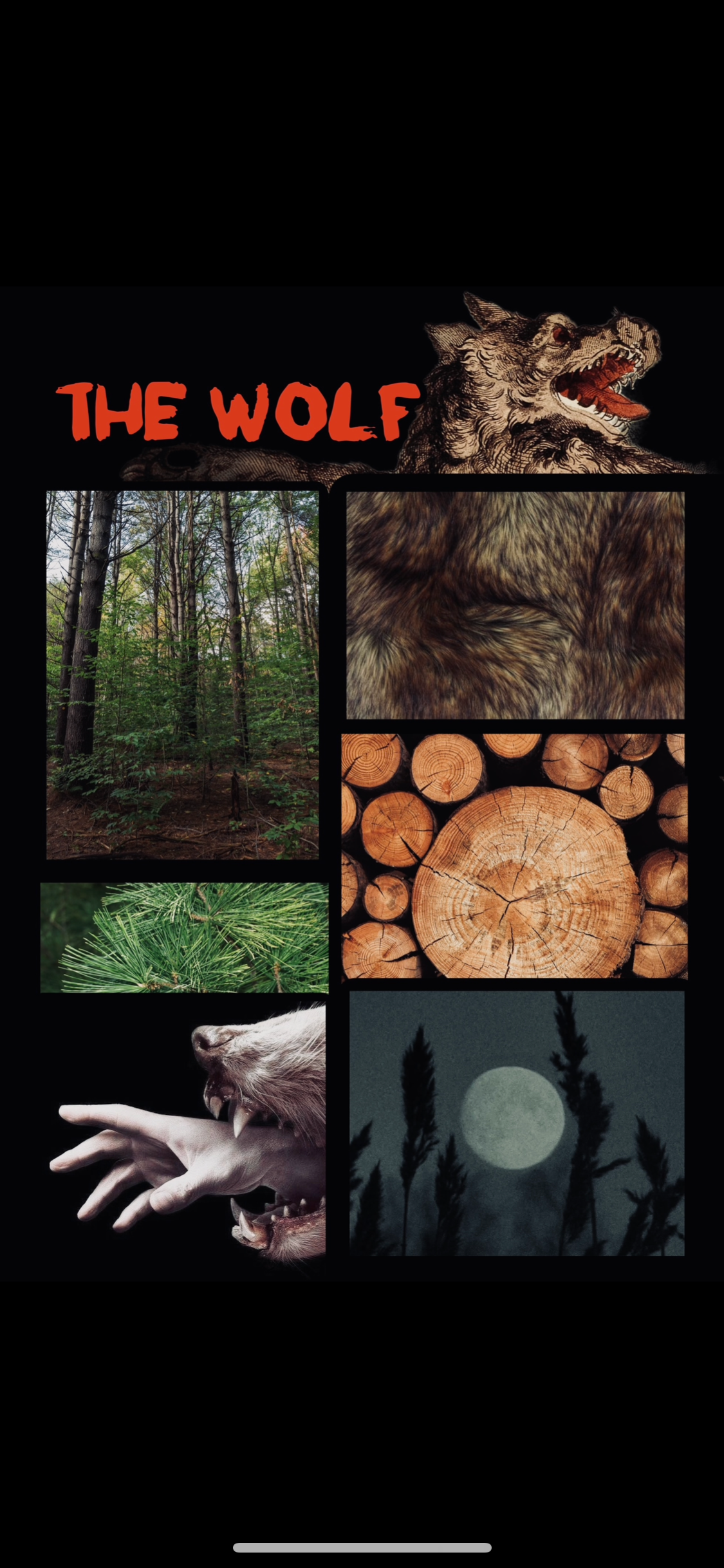 Seance - Wholesale Roll-On Fragrance - The Wolf (forest & musk)9