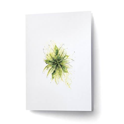 Morin Heights for wholesale by Scarlett