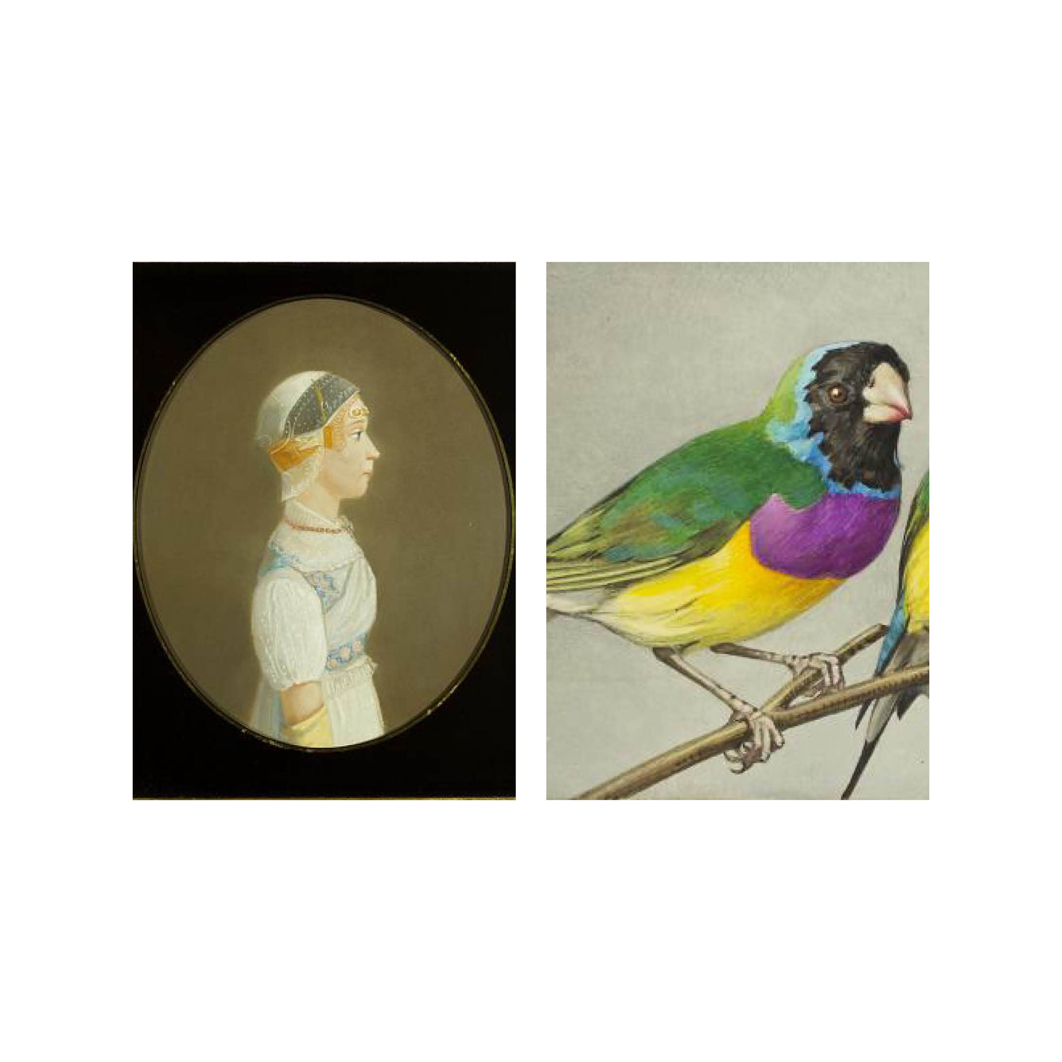 Lylies - Wholesale Ansichtkaart - Postcard collage Zaans Museum - vrouw gekleurde vogel2