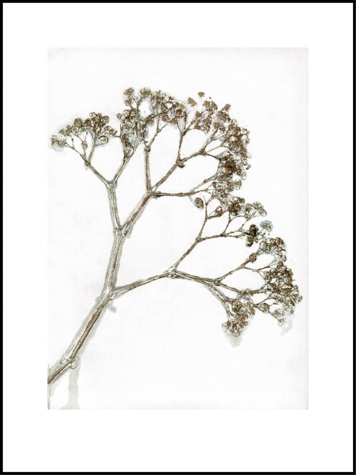 Gypso Khaki for wholesale by Pernille Folcarelli USA