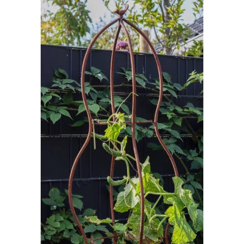 PY67 - Plant Support 3D Round Bird for wholesale by Fallen Fruits Ltd