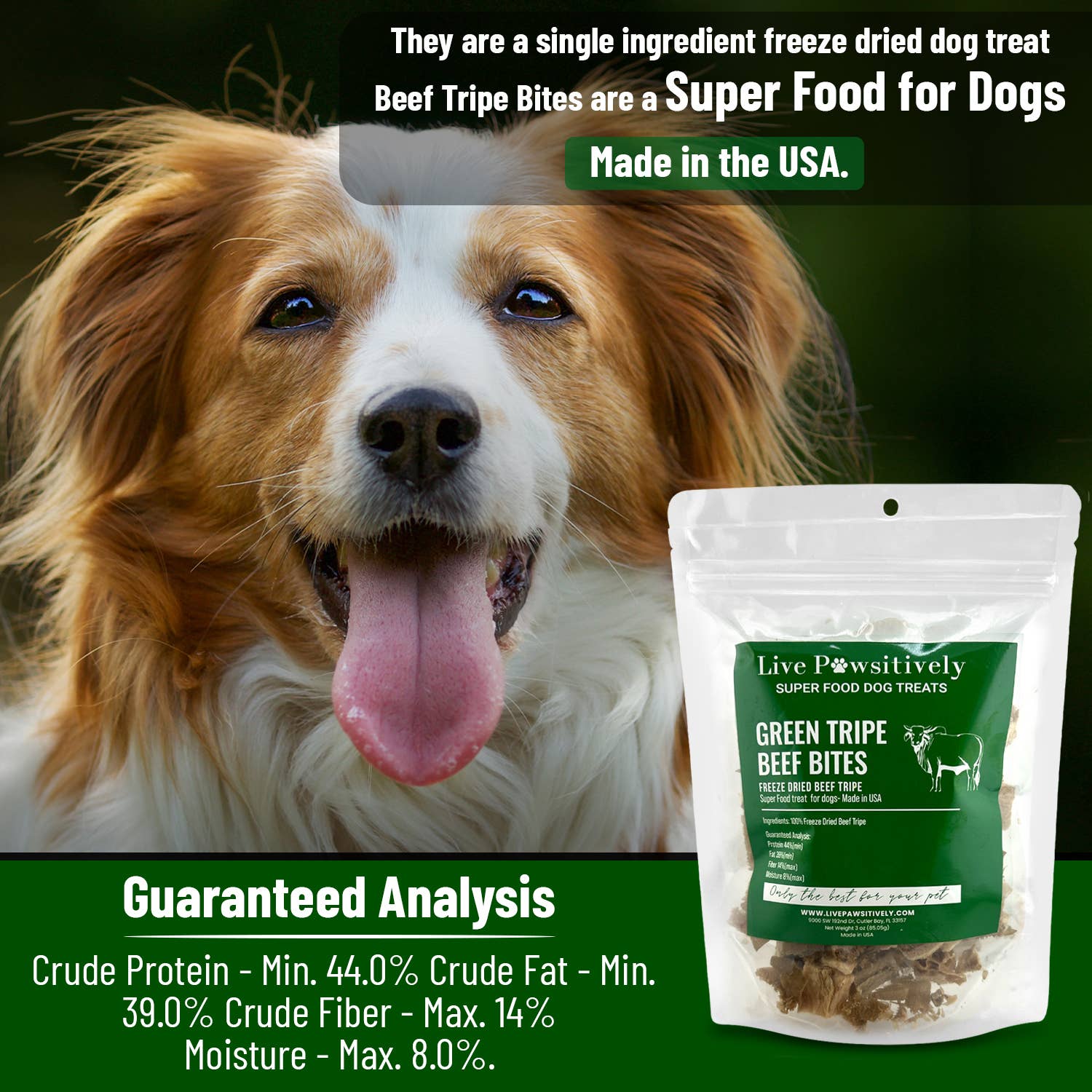 Live Pawsitive - Wholesale Pet Treats - Dog - Green Tripe Beef Bites (Freeze Dried Superfood for pets)1