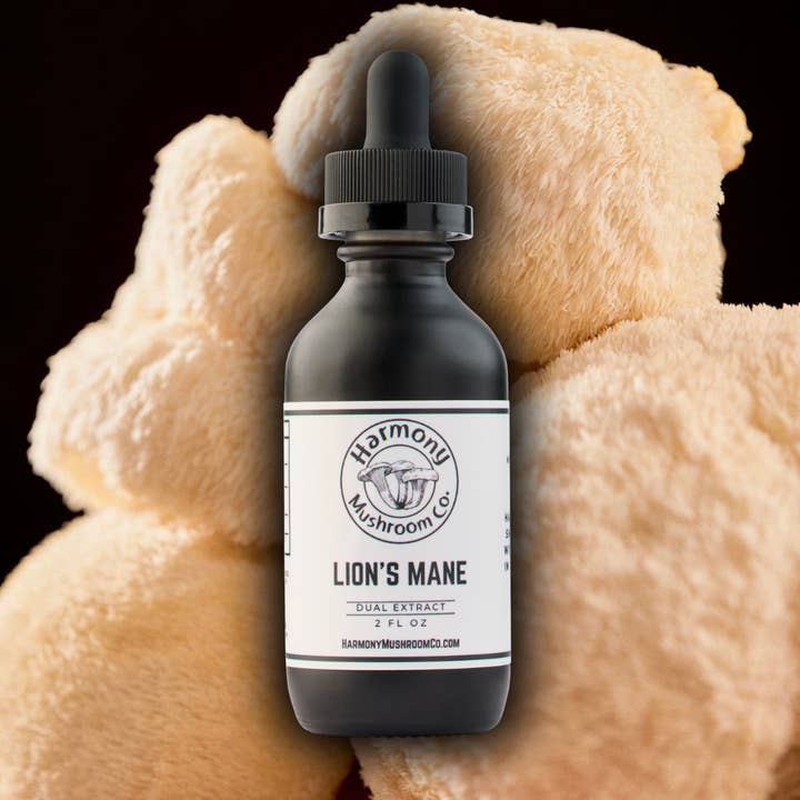 Löwenmähnenpilz-Doppelextrakt für den Großhandel von Harmony Mushroom Co