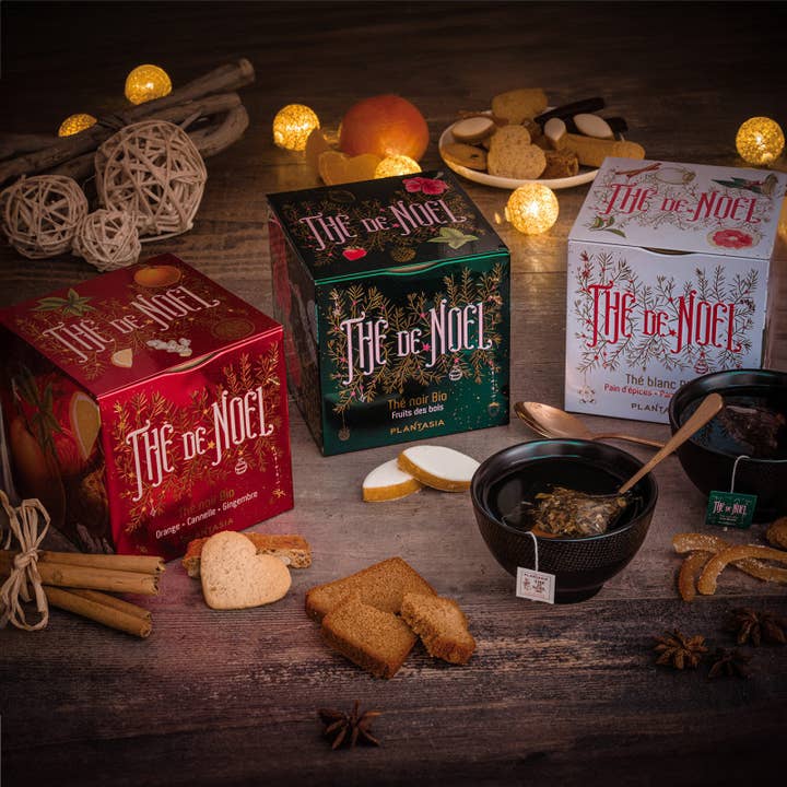 PROVENCE D'ANTAN - Wholesale Tea Bags - Organic Orange Cinnamon Ginger Christmas Tea*-Metal Cube 24 bags2